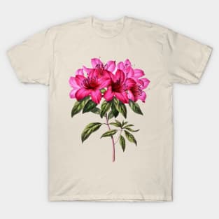 pink azalea flower T-Shirt